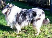 image JPEG 19,9Ko (20392 octets)