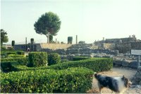 Photo jpeg 9 246 octets (Je@nnot040501)