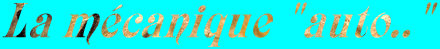Image JPEG 12Ko